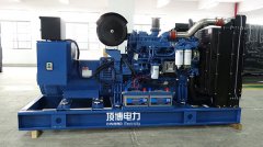 為什么企業不選擇天然氣或汽油發電機作為備用電源？